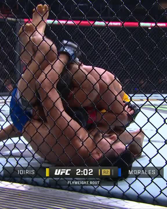 JOSEPH MORALES GETS THE SUBMISSION WIN AND IS THE #TUF33 FLYWEIGHT CHAMPION 🏆 #UFC319