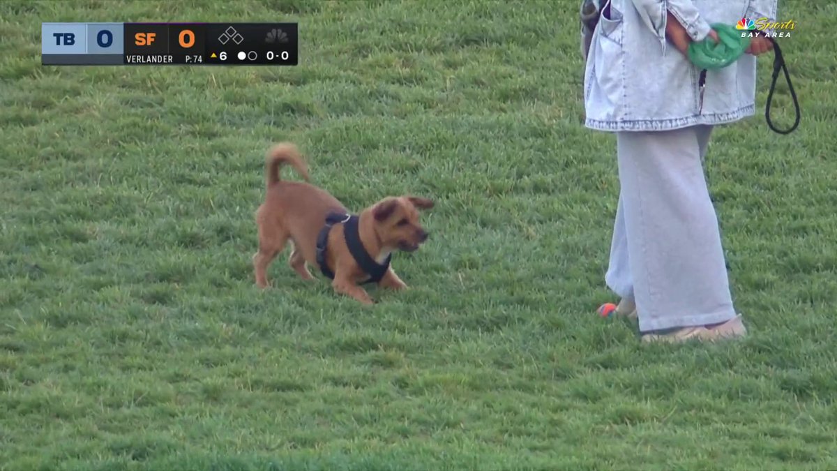 The most exciting play of the night!