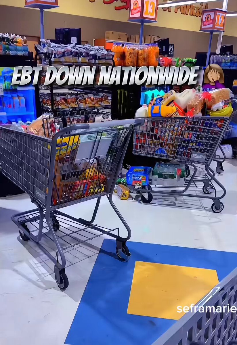 EBT went down in Pennsylvania, customers began abandoning their carts Just look at these carts, very few working American families could afford anything close to this during a grocery trip