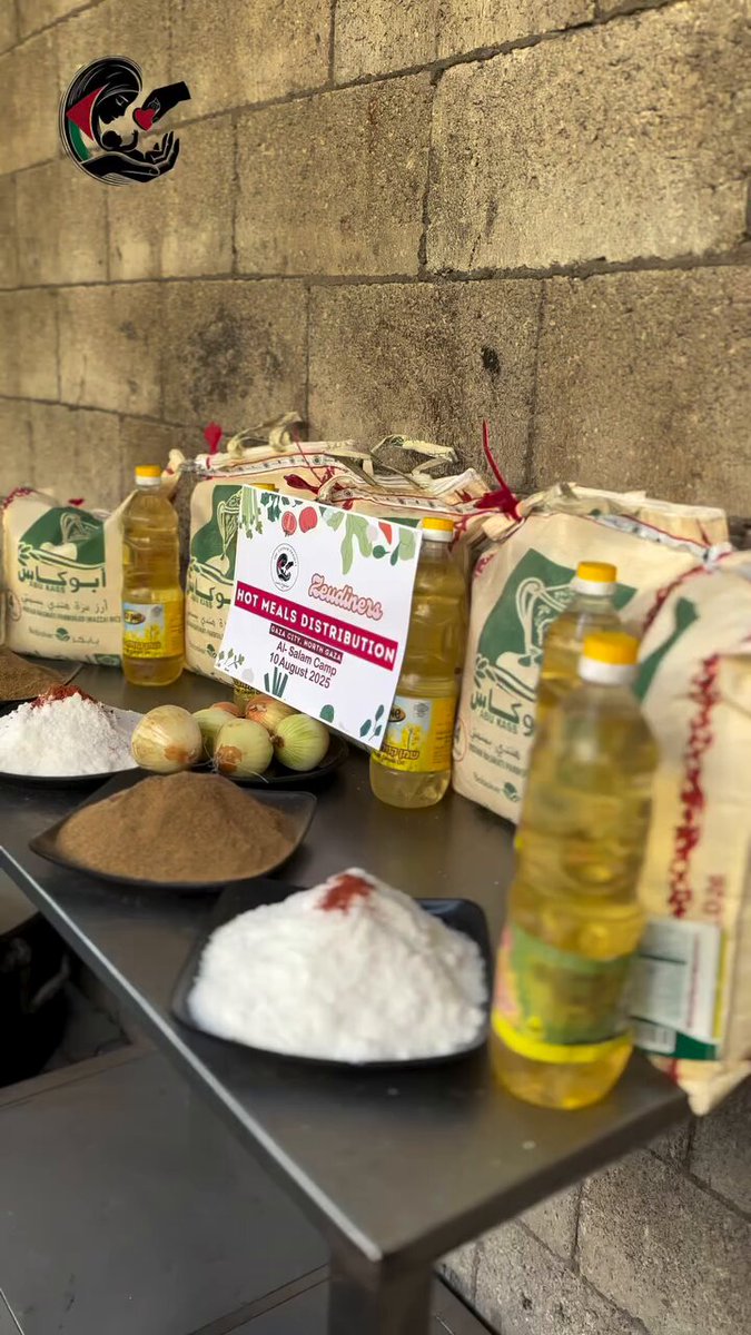 Il 10 agosto, il team di the zaynabProject insieme a Zeudiners ha distribuito 130 pasti caldi (circa 900 g ciascuno) alle famiglie sfollate nel campo di Al Salam, a Gaza, raggiungendo circa 390 persone. di nuovo grazie a chiunque abbia donato condiviso e parlato della raccolta insieme abbiamo reso tutto questo possibile🫂❤️‍🩹