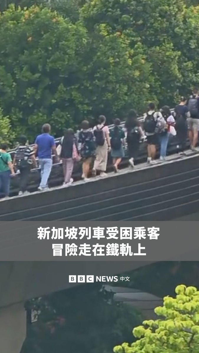 新加坡一列车因电力故障导致数十名乘客受困于高架铁轨上。画面显示，一群乘客排成单列队伍，沿着高架桥上的铁轨步行返回车站。 列车营运商表示，所有乘客均已安全下车，电力也正逐步恢复中。