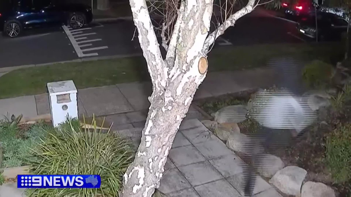 Three youths arrested over a violent home invasion in Kew East had all previously been charged with similar offences. The government is coming under fire for being weak on crime, after a series of similar home invasions in Melbourne's east. Gillian Lantouris #9News