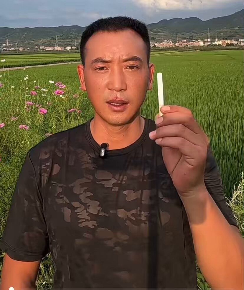 香烟里面的科技与狠活！