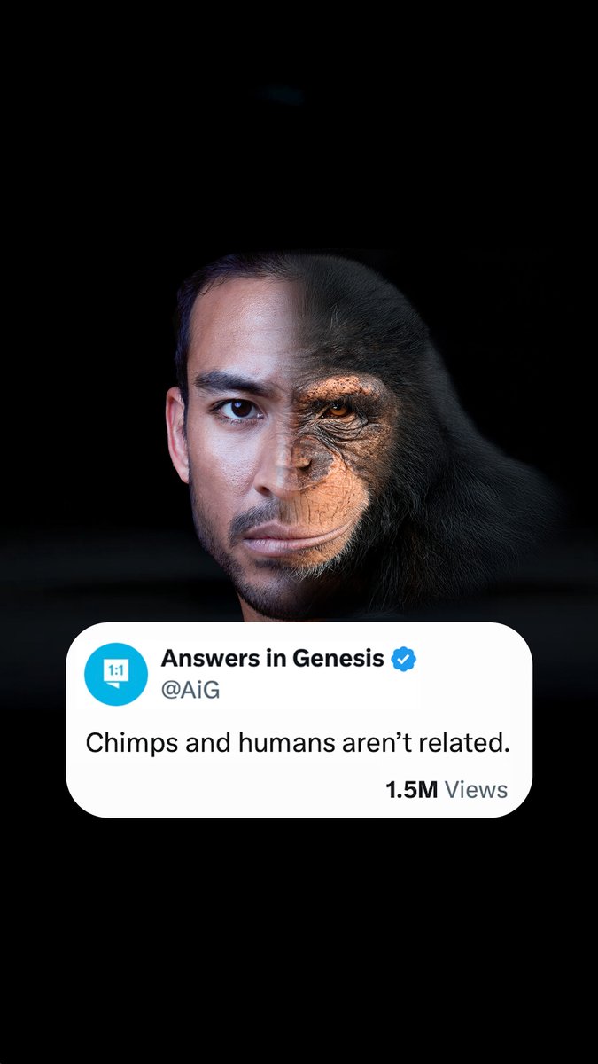 Chimps and Humans Aren’t Related.