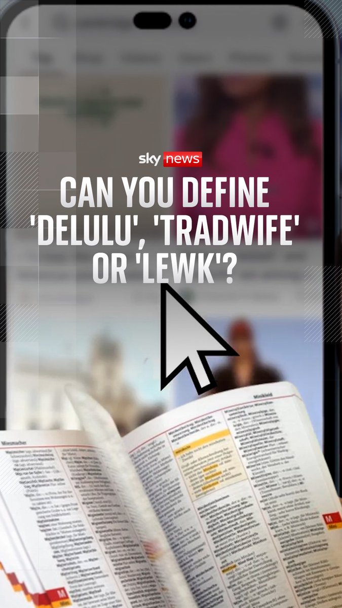 Can you define 'tradwife', 'delulu', 'lewk' and 'skibidi'? 🤔 These are some of the 6,000 new words that have been added to The Cambridge Dictionary this year - Sky's Charline BM explains how they made the cut 📙