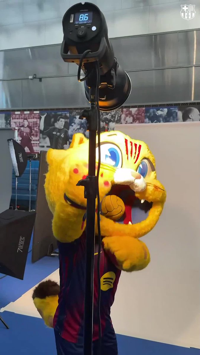 Even CAT wanted to be part of our media day 😽