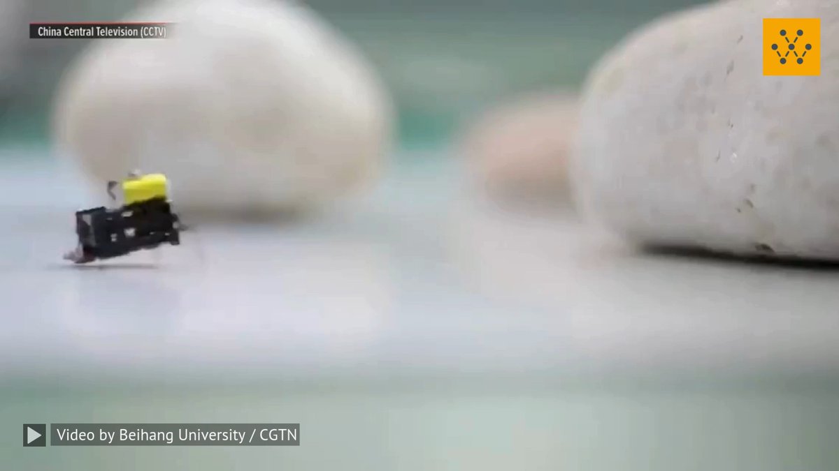 Researchers at the Beihang University in Beijing have invented a 2-centimeter-long microbot with ultrafast untethered running speeds. The research results were published in a study titled "A Wireless Controlled Robotic Insect with Ultrafast Untethered Running Speeds" in journal Nature Communications. Resembling a bug, this innovative robot has the potential for future applications in emergency rescue and mechanical inspection. Video source: Beihang University / CGTN #microrobot #locomotion #biomimicry #robotics #technology #engineering #innovation -------------------------------- Stay ahead of the curve! Follow us now on our WhatsApp ( and Telegram ( channels and stay updated about the cutting edge.