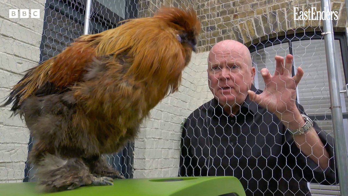 Phil is not about that city farm life! 😂 #EastEnders, tonight at 7:30pm on BBC One and on BBC iPlayer.