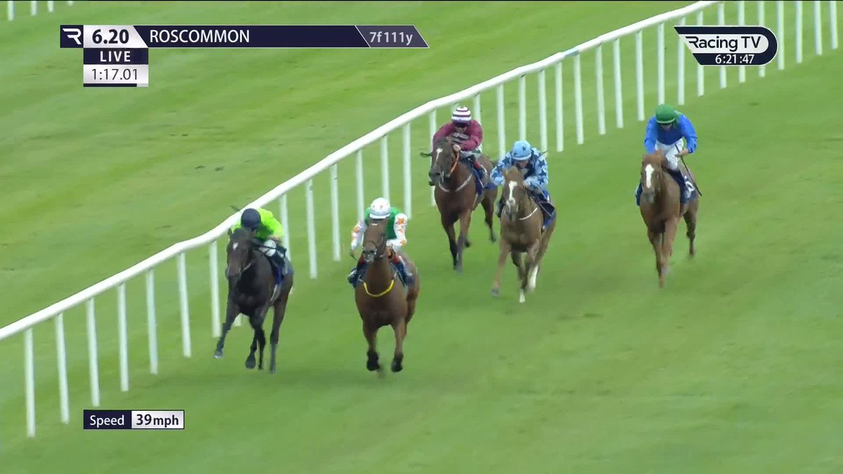 Exciting battle 💥 Another course-and-distance win for Check This Out (Ten Sovereigns), who beats favourite Giovanni Giorgio on the line in the Irish Stallion Farms Auction Series Race Roscommon Racecourse 💪 Noel Meade Racing | Colin Keane