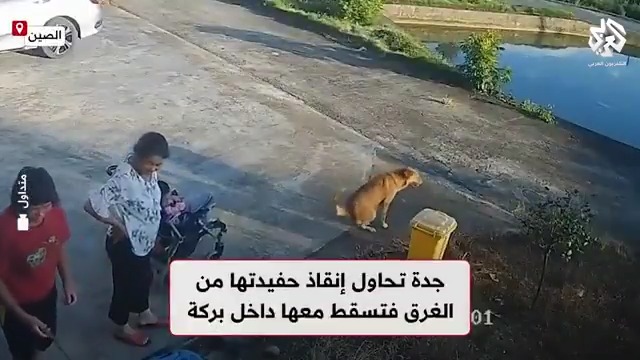 نجاة جدة حاولت إنقاذ حفيدتها من الغرق بعد سقوط عربتها في بركة بجنوب الصين تابعوا حساب التلفزيون العربي👇
