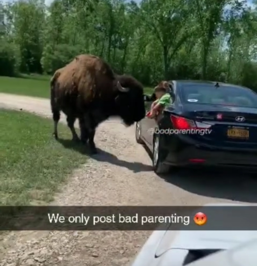 Why would you do that to your kid? I really hope he survived.