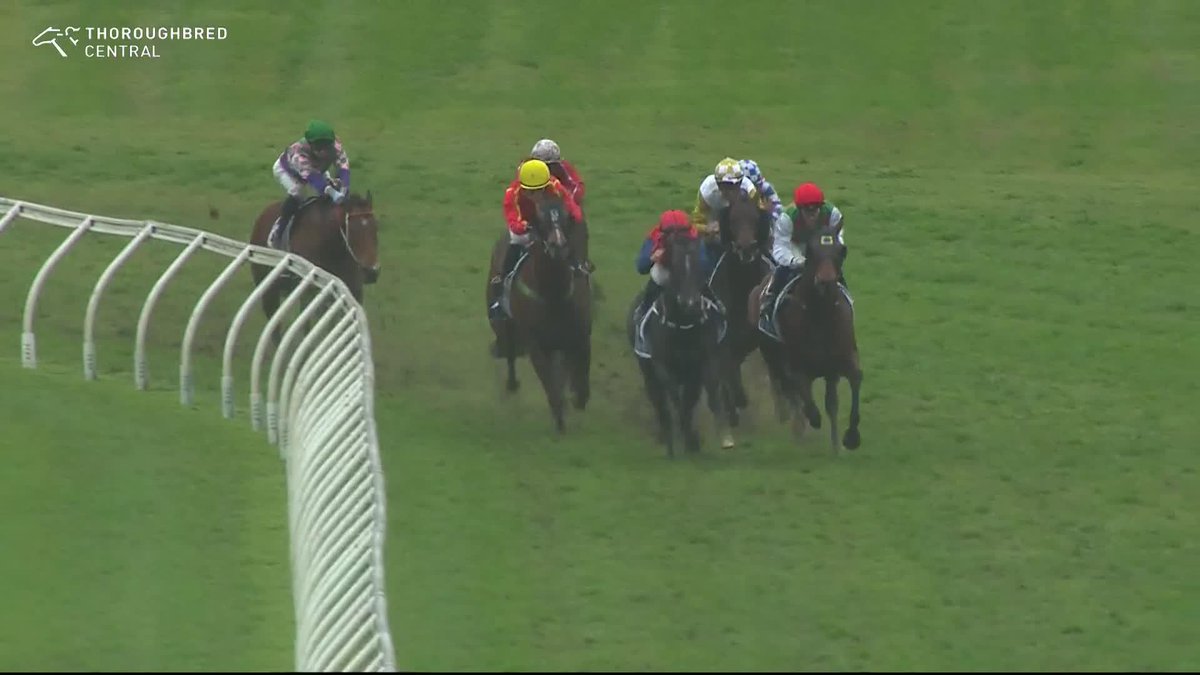 A perfect Nash Rawiller ride sees Zouripper take out the last at Warwick Farm! John P Thompson