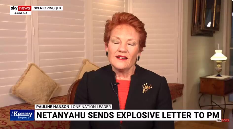 Pauline Hanson cheering on a foreign leader insulting our PM… Truly the patriot Australia never asked for. #auspol