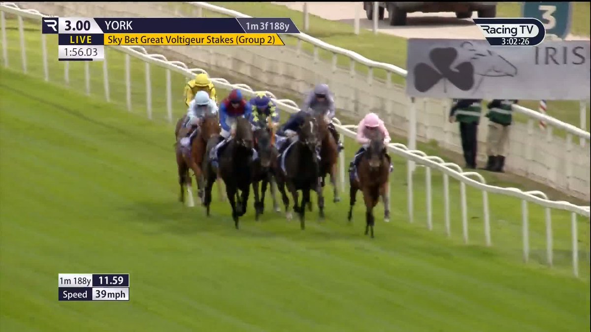 Pride Of Arras is back! The Dante winner bounces back in the Sky Bet Great Voltigeur and at 12/1 for Rossa Ryan and Ralph Beckett