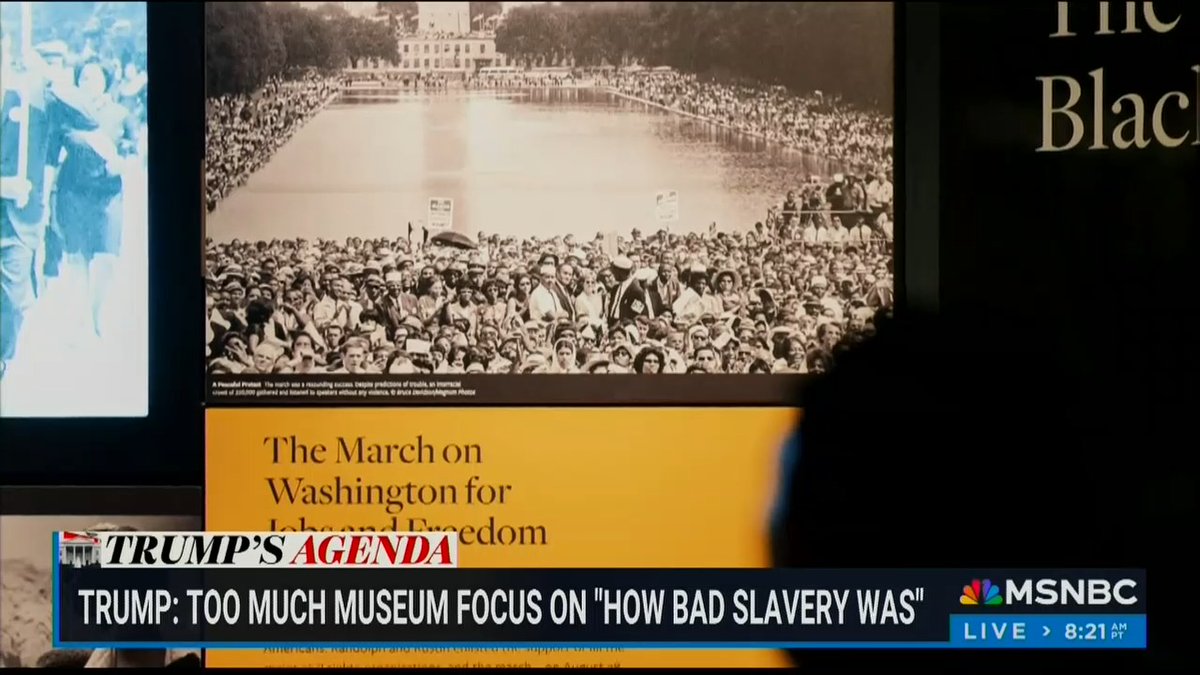 Reporter: The Trump administration began conducting this unprecedented review of exhibits at the Smithsonian to make sure that they comply with Trump's vision of history. The White House directed officials to implement 'content corrections' where necessary, including replacing 'divisive language.' 32 artifacts that were once on display at the African American History Museum were removed, including a book belonging to Harriet Tubman