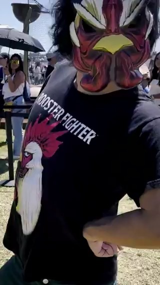 Me emocioné muchísimo en la #SDCC este año. ¡Sí, bandada! 🐔#RoosterFighter VIZ Media 桜谷シュウ 『ニワトリ・ファイター Rooster Fighter 第10巻 発売中!! ニワトリ・ファイター【公式】 adult swim
