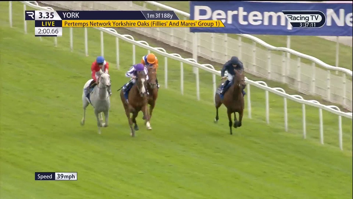 FOUR times an Oaks Winner 👑 Yorkshire Oaks ✅ Irish Oaks ✅ English Oaks ✅ Cheshire Oaks ✅ Next stop Longchamp for 𝑴𝒊𝒏𝒏𝒊𝒆 𝑯𝒂𝒖𝒌? Coolmore | York Racecourse | #EborFestival