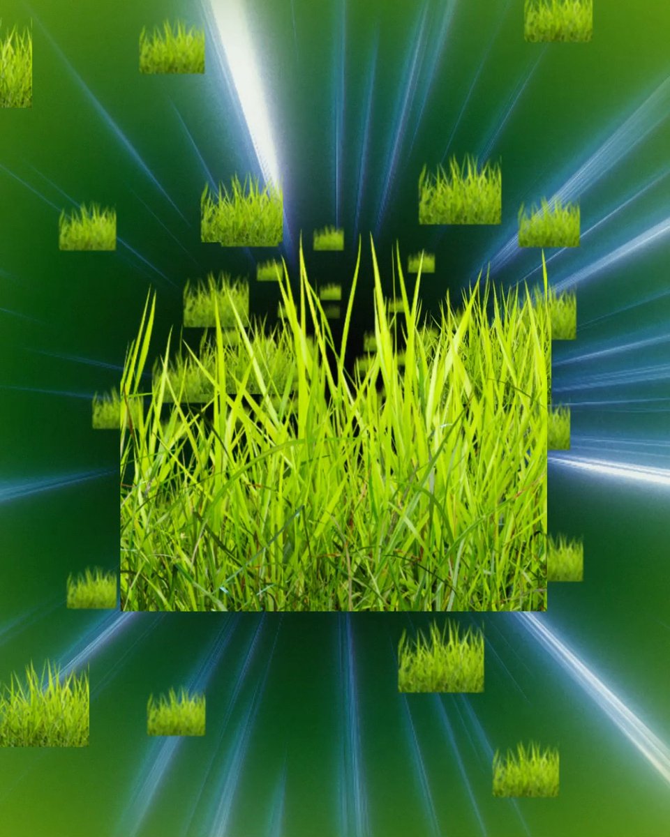 The next best thing to getting out there and touching grass is…watching someone else do it. Unlock this limited time Touch Grass badge when you download and share a clip from any IRL stream from 8/21-8/24. Check out IRL clips