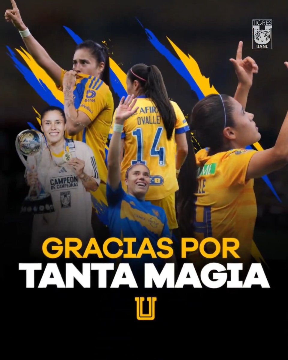 ¡Gracias por tanta magia! 🪄
