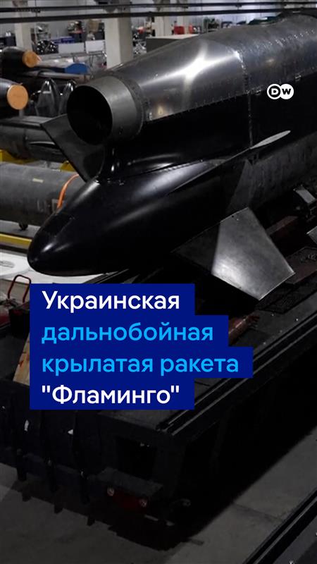 Новая украинская ракета способна поражать цели на расстоянии 3000 км. Уже через несколько месяцев завод сможет выпускать до семи "Фламинго" в день. На что способна эта ракета?