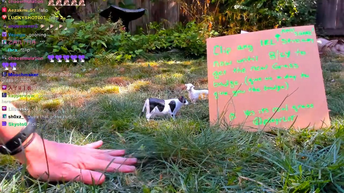 Have you touched grass today?