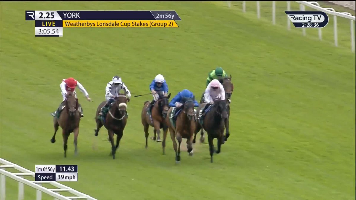 TRAWLERMAN wins the Lonsdale Cup ๐๐ต Weatherbys Limited | York Racecourse