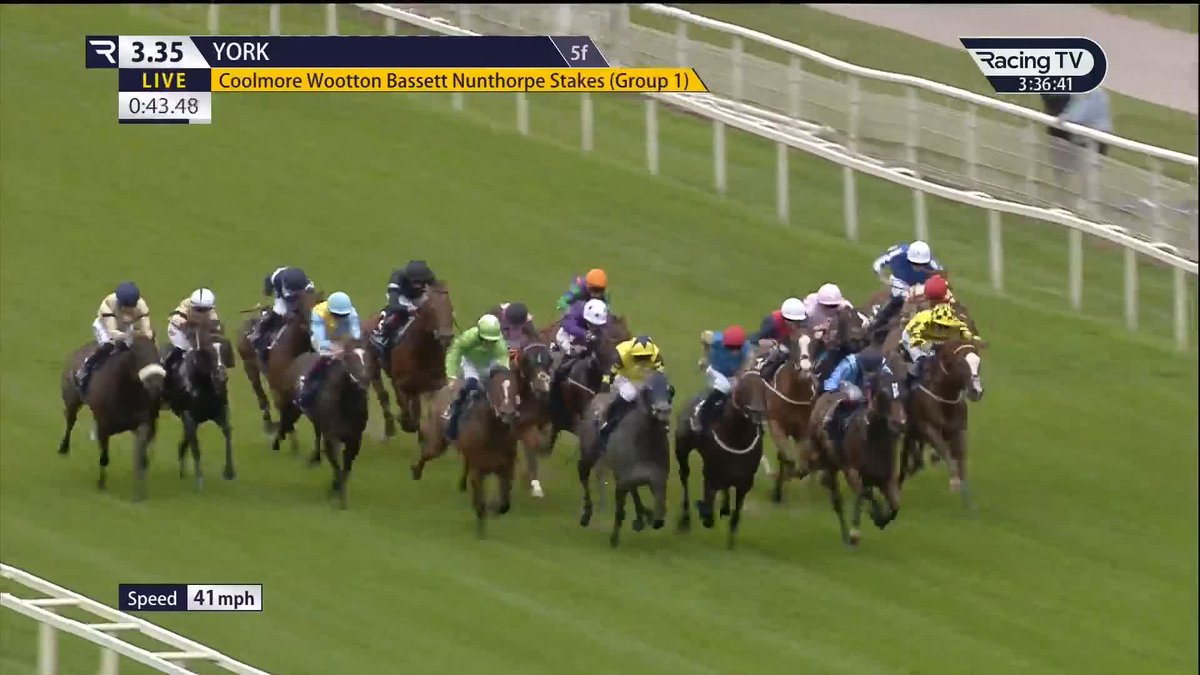 ASFOORA! 🚀 Group One success in the Coolmore Wootton Bassett Nunthorpe Stakes 🥇 York Racecourse