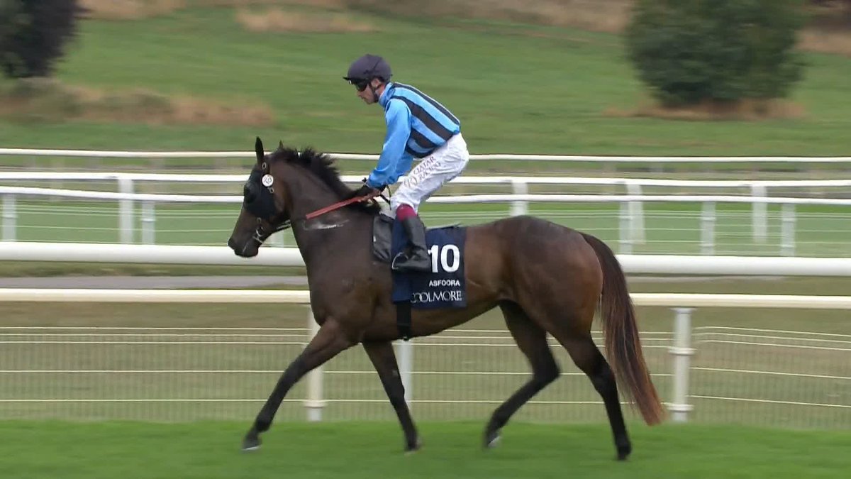 Asfoora flies the flag for Australia 🇦🇺🐎 Brilliant winner of the Coolmore Wootton Bassett Nunthorpe Stakes for Oisín Murphy and Henry Dwyer Racing 🏆⚡