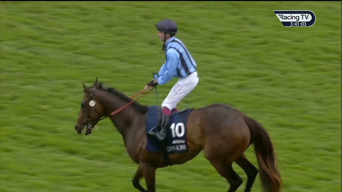 Team Asfoora 🇦🇺 Henry Dwyer Racing | Oisín Murphy