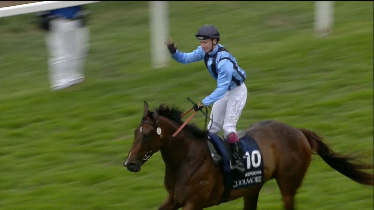 👋 Oisín Murphy soaks up the atmosphere on the Knavesmire