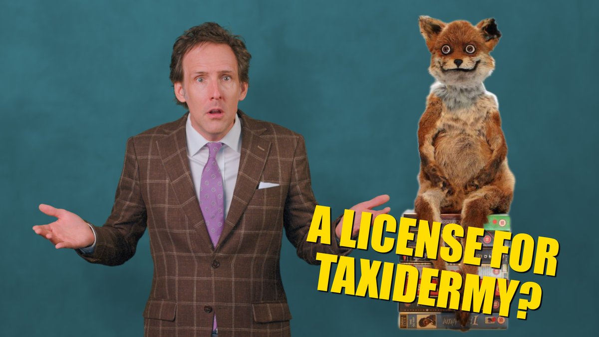 Becoming a taxidermist or hair braider shouldn't involve costly hurdles. Around 20 percent of American workers must hold a professional license to do their job. Why? Andrew Heaton 🎩 has an answer. And it's infuriating.