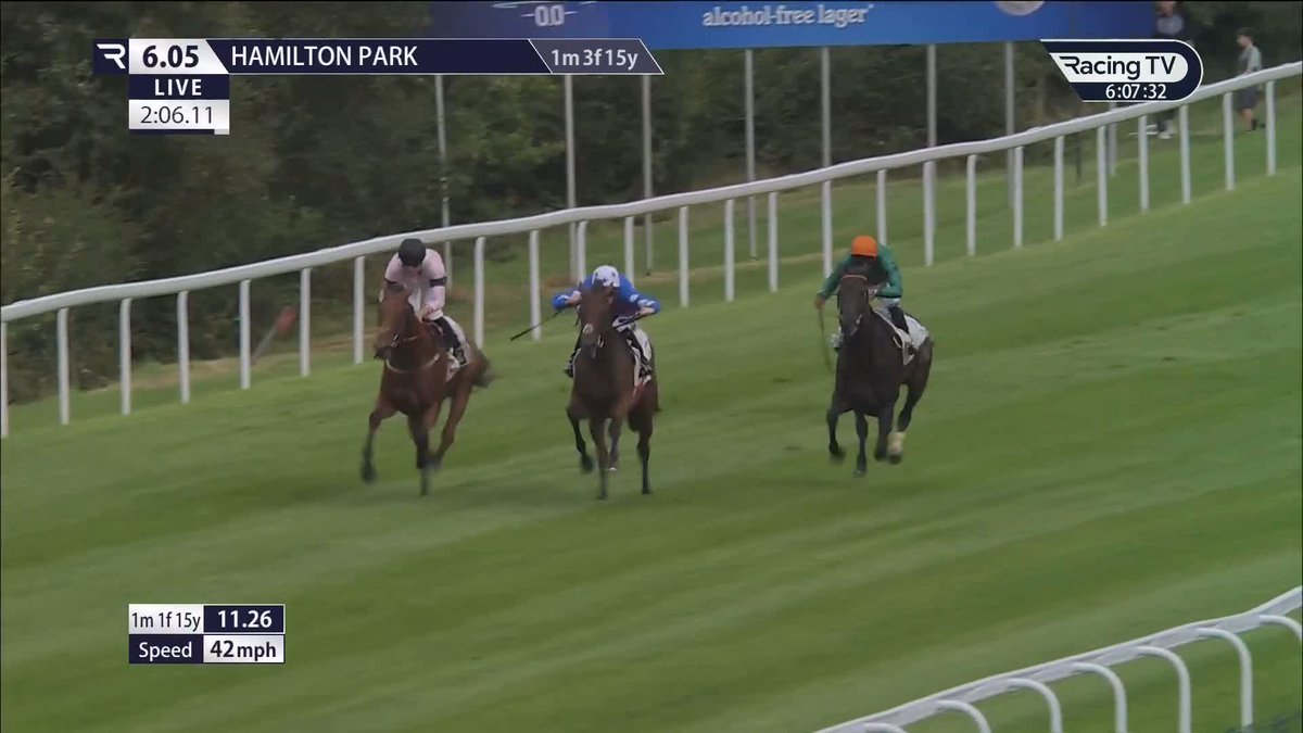 Shock result 😮 1/5 favourite Tiernan is BEATEN by newcomer Aequitas, who wins on debut for David O'Meara and Mark Winn! Darley in Europe | British EBF | Hamilton Park