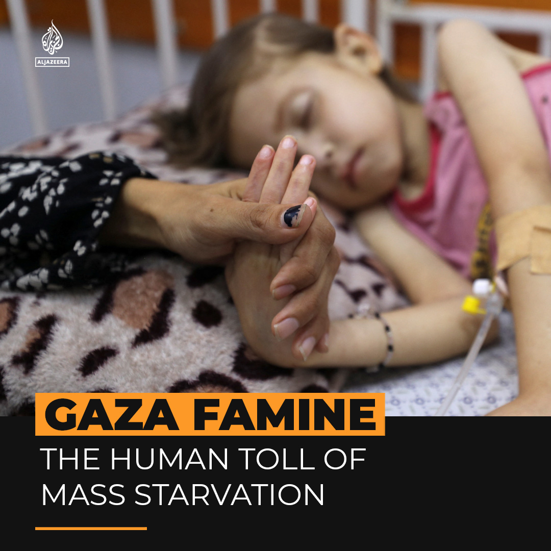 A UN-backed food security body has declared parts of Gaza are officially suffering from a famine created by Israel. The Integrated Food Security Phase Classification (IPC) says 12,000 Palestinian children are acutely malnourished.