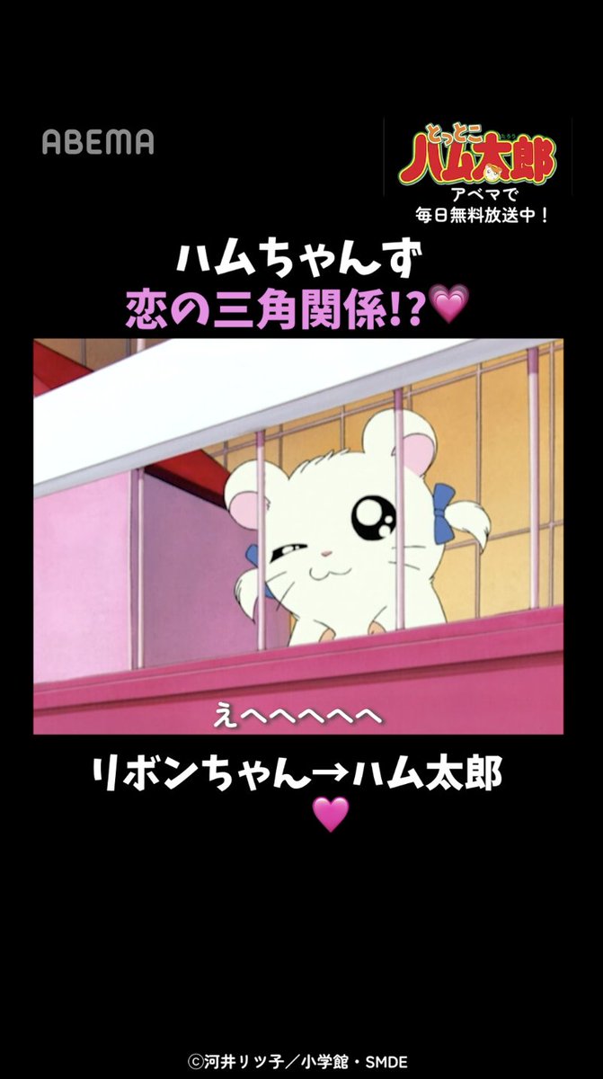 ハムちゃんず 恋の三角関係！？💗 「とっとこハム太郎」はアベマで毎日無料配信中！ 視聴はこちら▶︎ とっとこハム太郎 「とっとこハム太郎」公式サイト運営