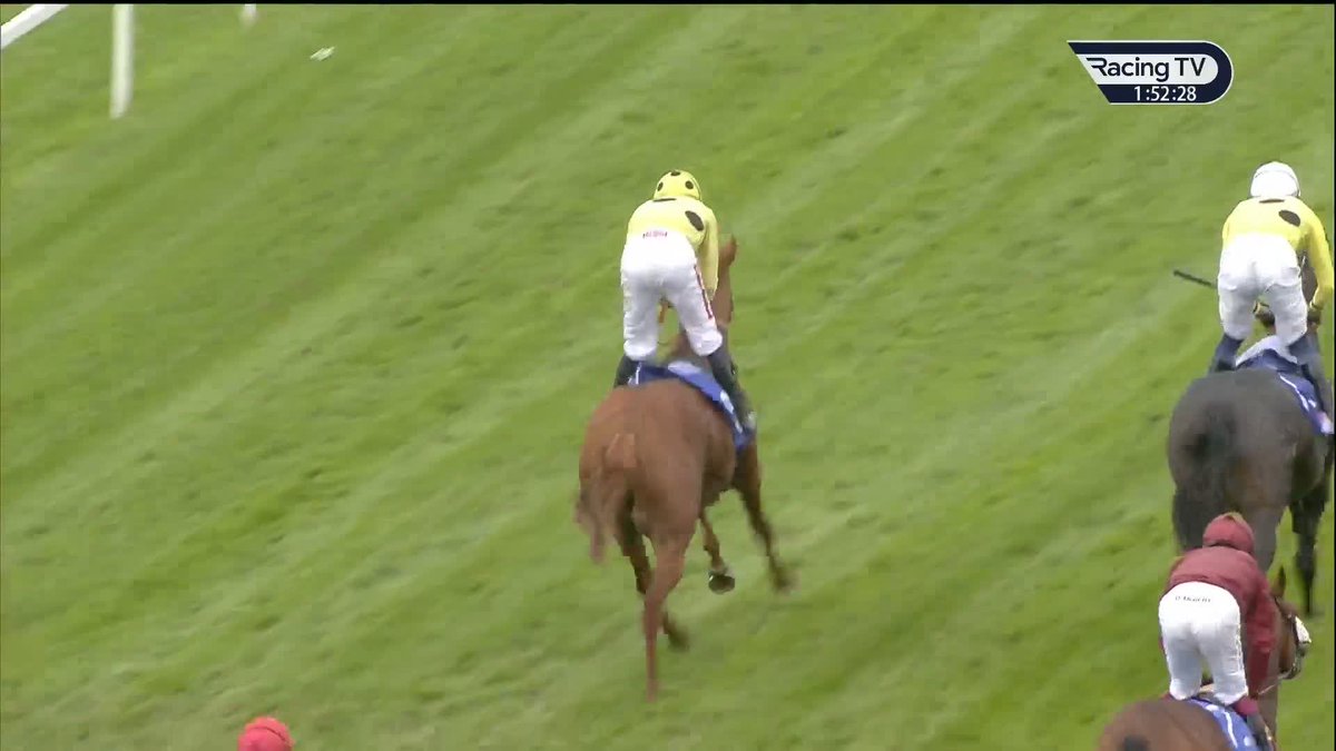 King Of Cities is off the mark for the season and in the £170,000 Sky Bet Strensall Stakes in a 1-2 for owner Sheikh Mohammed Obaid. Group 3 success for Sean Levey and Richard Hannon! York Racecourse