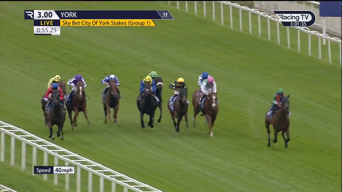 Never So Brave lands the newest Group 1 contest in the calendar, the Sky Bet City Of York Stakes! York Racecourse Andrew Balding | Oisín Murphy