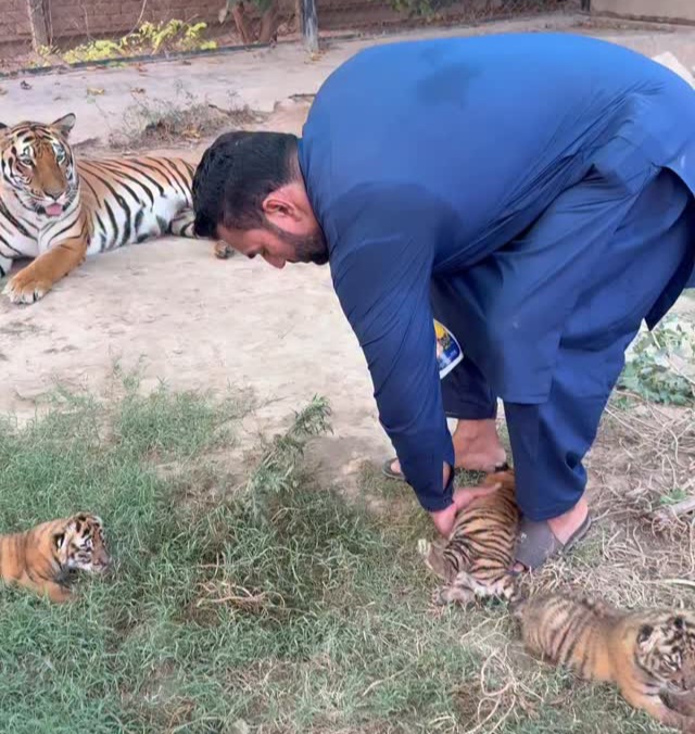He is playing with his own life