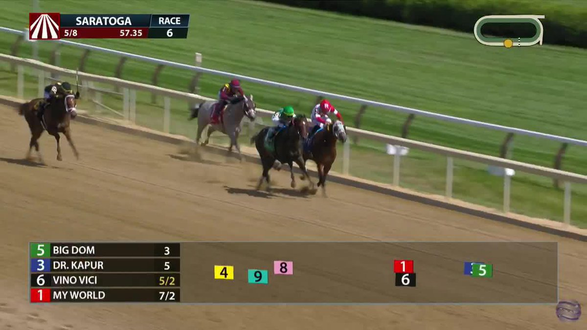 A horse named after Big Dom just won at Saratoga 😂