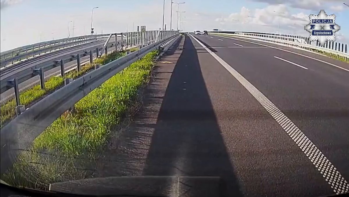 Tak wygląda prawdziwa służba! Starszy sierżant Oliwia Zyg z częstochowskiej policji zatrzymała się na ruchliwej S5, by uratować dwa przestraszone psy błąkające się między samochodami. Zwabiła je w bezpieczne miejsce i czekała, aż wrócą do swojej rodziny. Dzięki jej szybkiej reakcji psy żyją i znów są w domu. Właścicielka nie kryła łez wzruszenia, a czworonogi przywitały swoją bohaterkę merdającymi ogonami. Policja to nie tylko mundur i przepisy, to także wielkie serce.💗