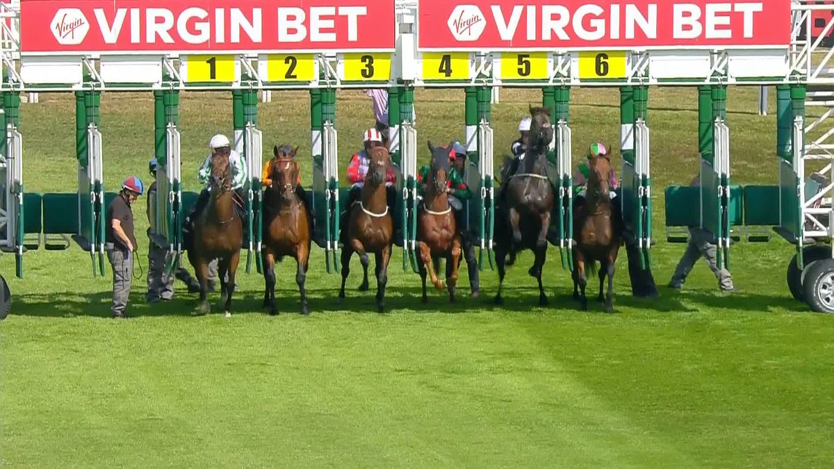 A great week for Rossa Ryan and Clive Cox🤩 Flash Harry wins the Livescorebet Handicap🥇 #ITVRacing | Rossaryan