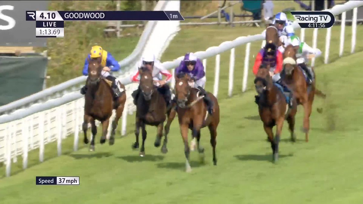Ancient Egypt takes his record to a perfect two from two, taking out the British Stallion Studs EBF Novice Stakes from the front under Rowan Scott ✅