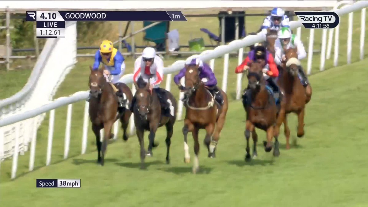 Hmmm .... 👀 𝐀𝐧𝐜𝐢𝐞𝐧𝐭 𝐄𝐠𝐲𝐩𝐭 - a 1.1million guineas Frankel colt, remains unbeaten in the British EBF Novice Stakes Goodwood Racecourse With entries in the Royal Lodge and Dewhurst Newmarket Racecourse, this is a horse of huge potential for Amo Racing and Johnston Racing