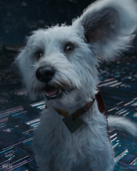An ode to Superman's cutest cast member: Krypto. #Superman is now available on Digital.