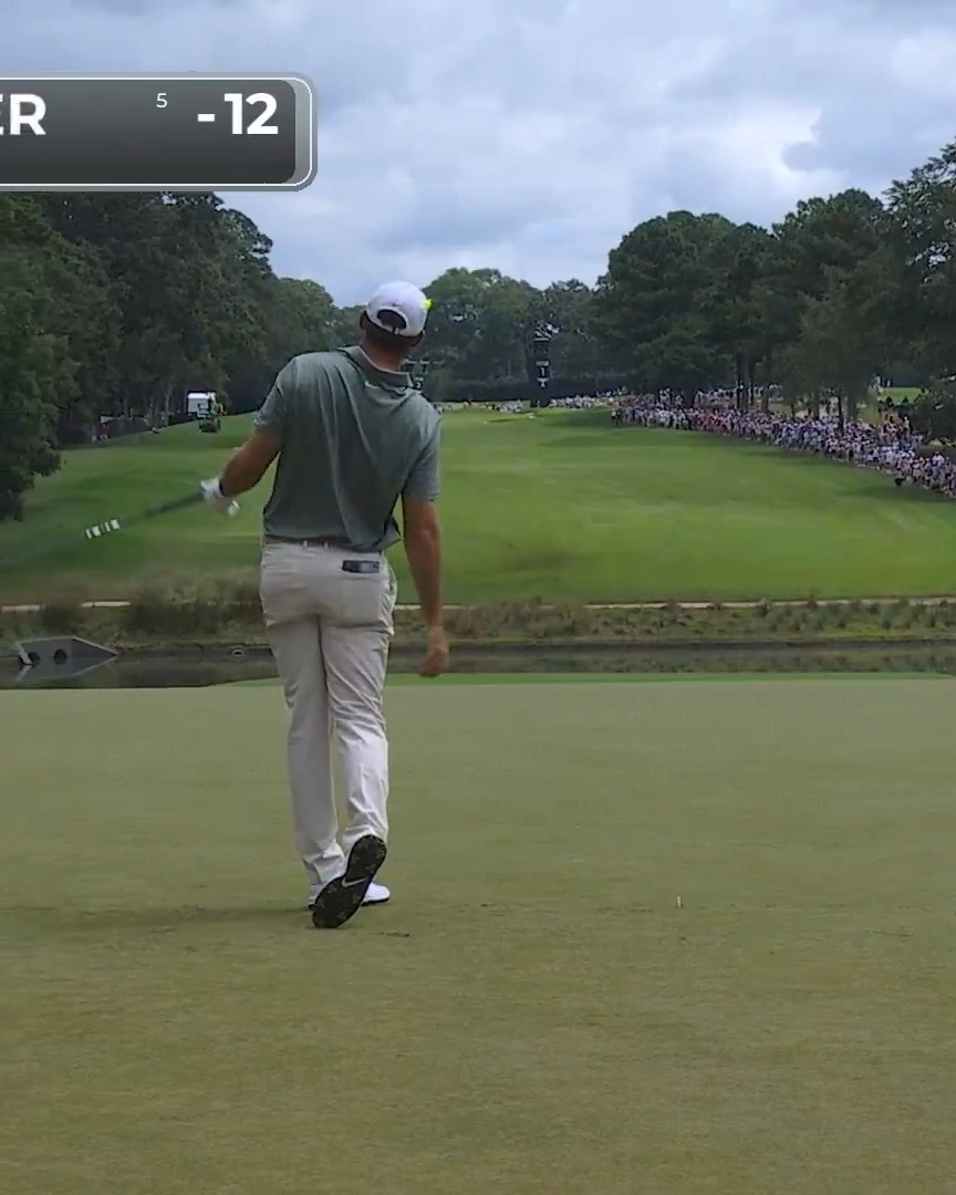 Shot 1: Out of bounds Shot 4: 202 yds to 2 ft Scottie Scheffler is relatable until he's not.