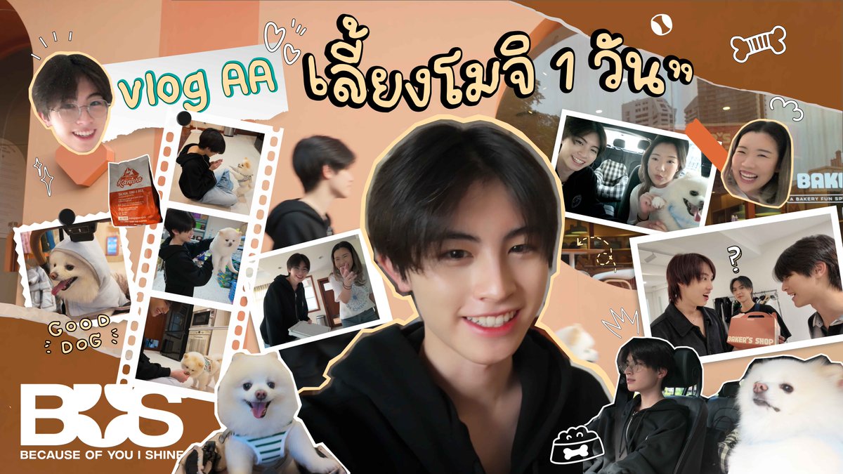 ตามไปดู 1 วันของ #AAashirakorn กับการเลี้ยง ‘โมจิ’ จะเต็มไปด้วยความน่ารักขนาดไหนตามมาดูกันได้ที่คลิปนี้เลยครับ 🐶💖 🔗: #BUSbecauseofyouishine