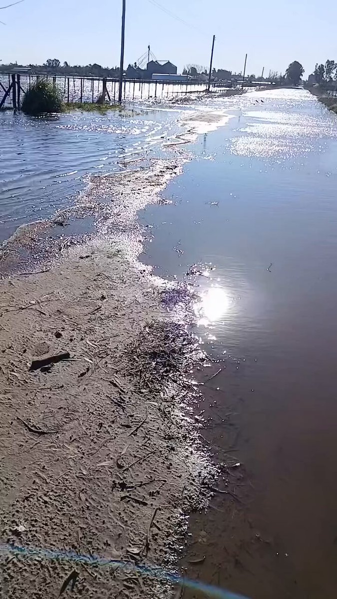 En la localidad de Dudignac el agua está a metros del pueblo, los campos son lagunas interminables y el gobierno nacional no homóloga la emergencia. Se liquidan animales y se pagan ganancias... totocaputo acá hace falta criterio y sentido común.