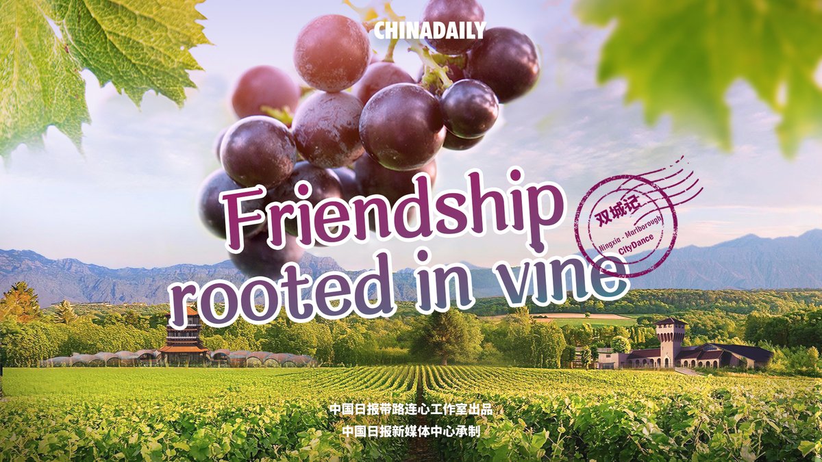 Rooted in vine, refined in wine! #Ningxia and #Marlborough tell a shared story of cultivation and exchanges. Different climates. Different #harvests. But the same passion for viticulture, learning, and friendship. From winemakers to students, this cross-continental connection is aging beautifully. #CityDance