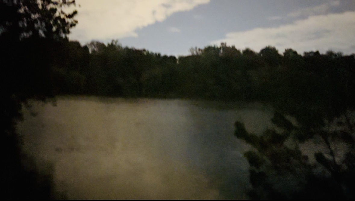 just me the swamp and the stars out tonight