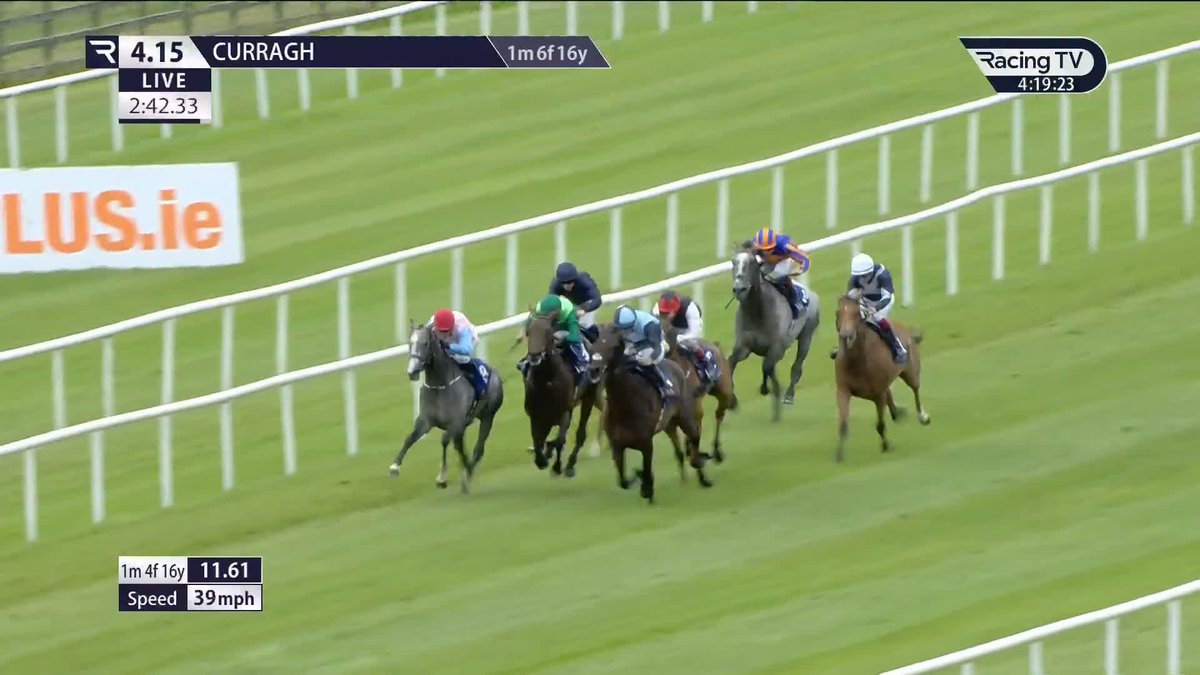 🇦🇺 BREAKING: Australian Bloodstock have bought AL RIFFA for a large some of money: 🤩 The 5YO son of Wootton Bassett will stay in training with Joseph O’Brien in Kilkenny. He’ll be targeted at the MELBOURNE CUP along with the Japan Cup 🇯🇵 Dubai & Saudi.