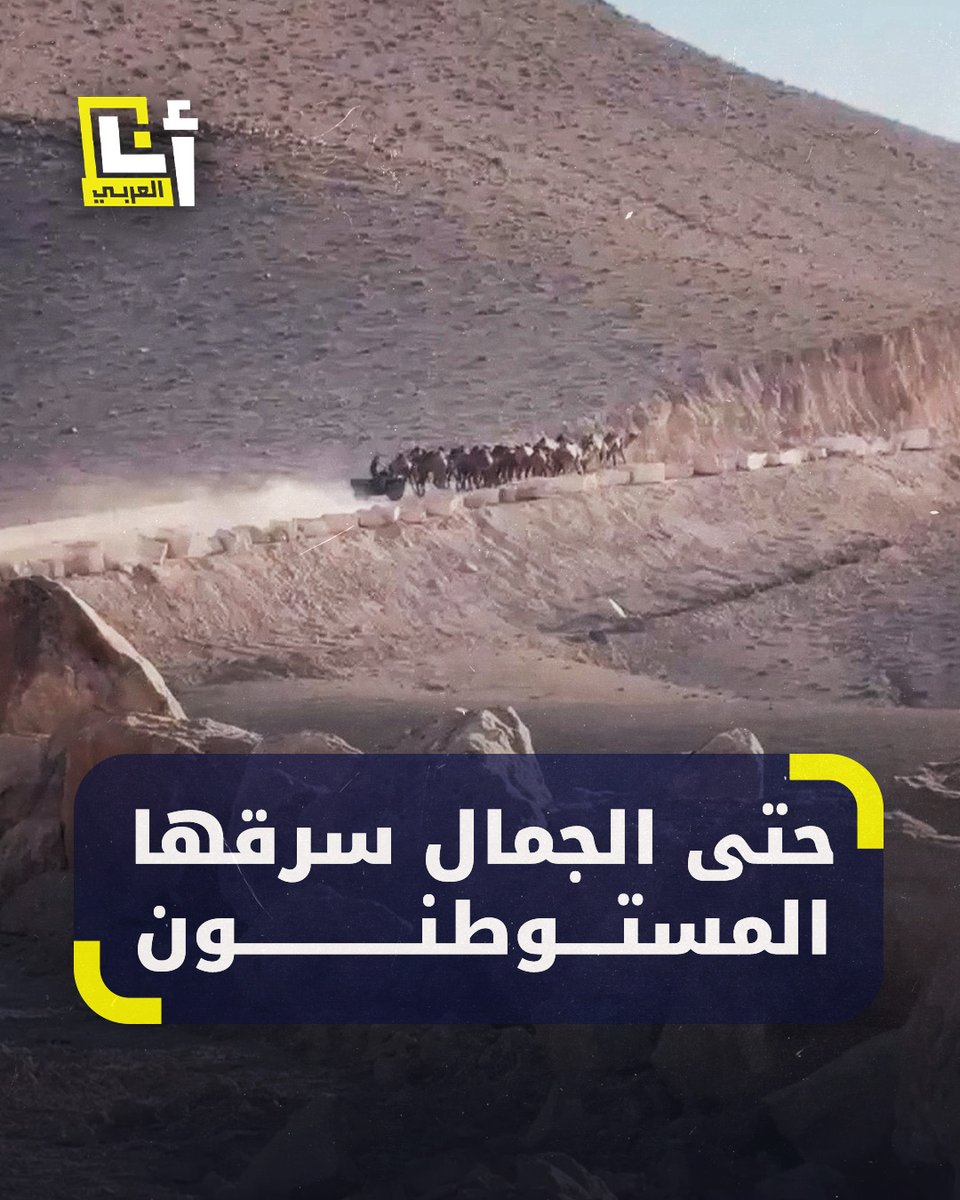 تحت حراسة جنود الاحتلال.. مستوطنون يقتحمون منطقة بالضفة الغربية ويسرقون 20 ناقة في ظل استمرار عمليات السرقة والترهيب من قبل المستوطنين دون محاسبة #أنا_العربي